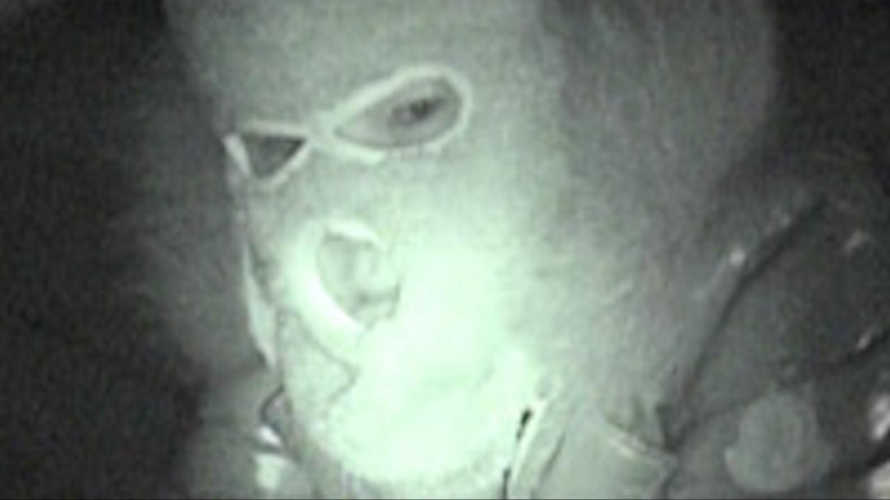 Not Found 5　－ネットから削除された禁断動画－|Not Found 5　－ネットから削除された禁断動画－