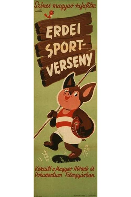 Erdei sportverseny | Erdei sportverseny