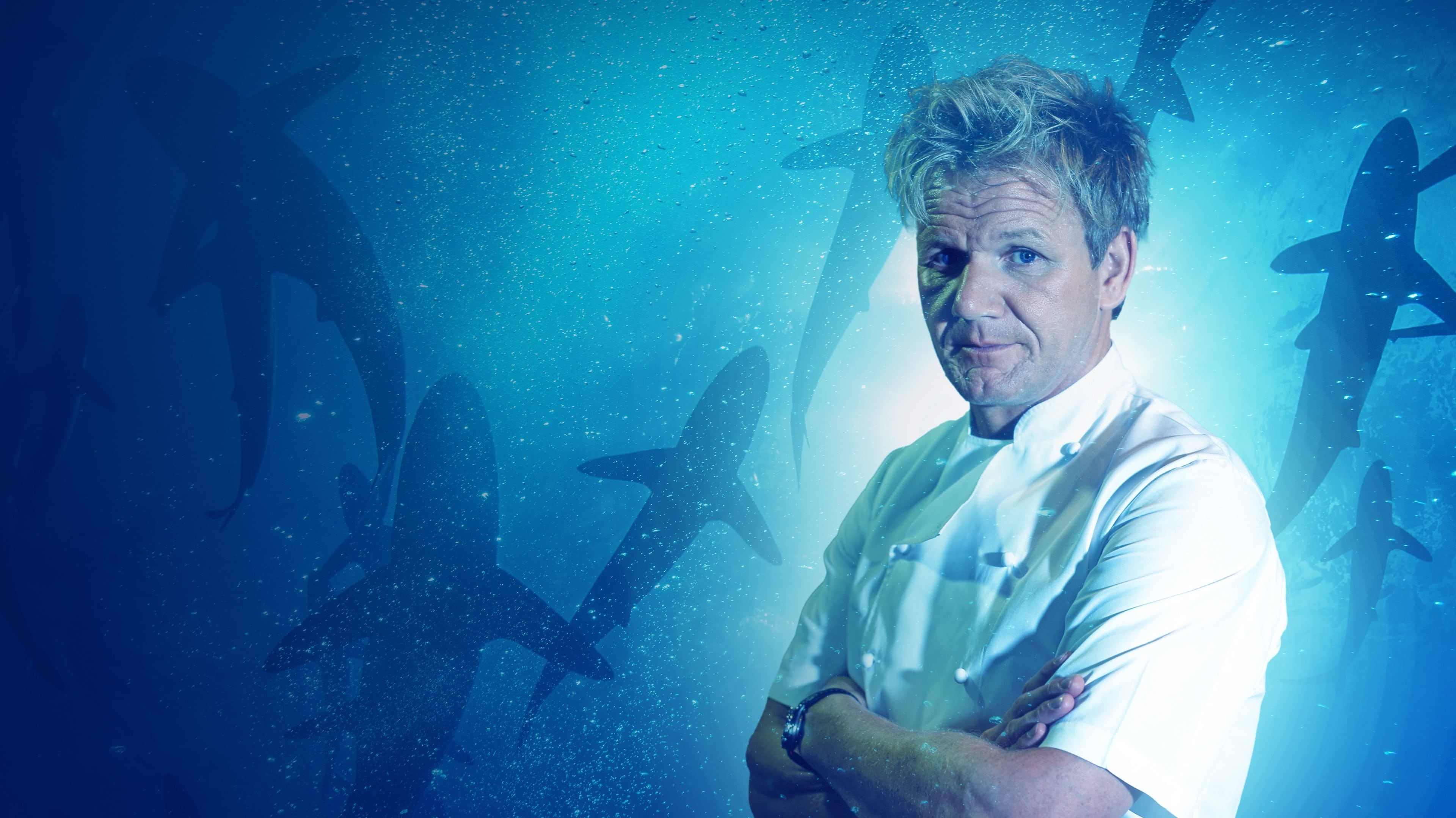 Gordon Ramsay: Shark Bait|Gordon Ramsay: Shark Bait