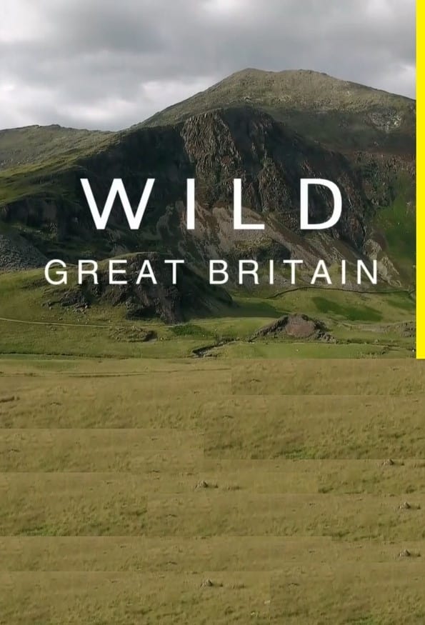 Wild Great Britain | Wild Great Britain