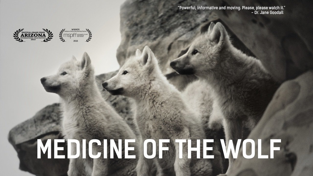 Medicine of the Wolf|Medicine of the Wolf