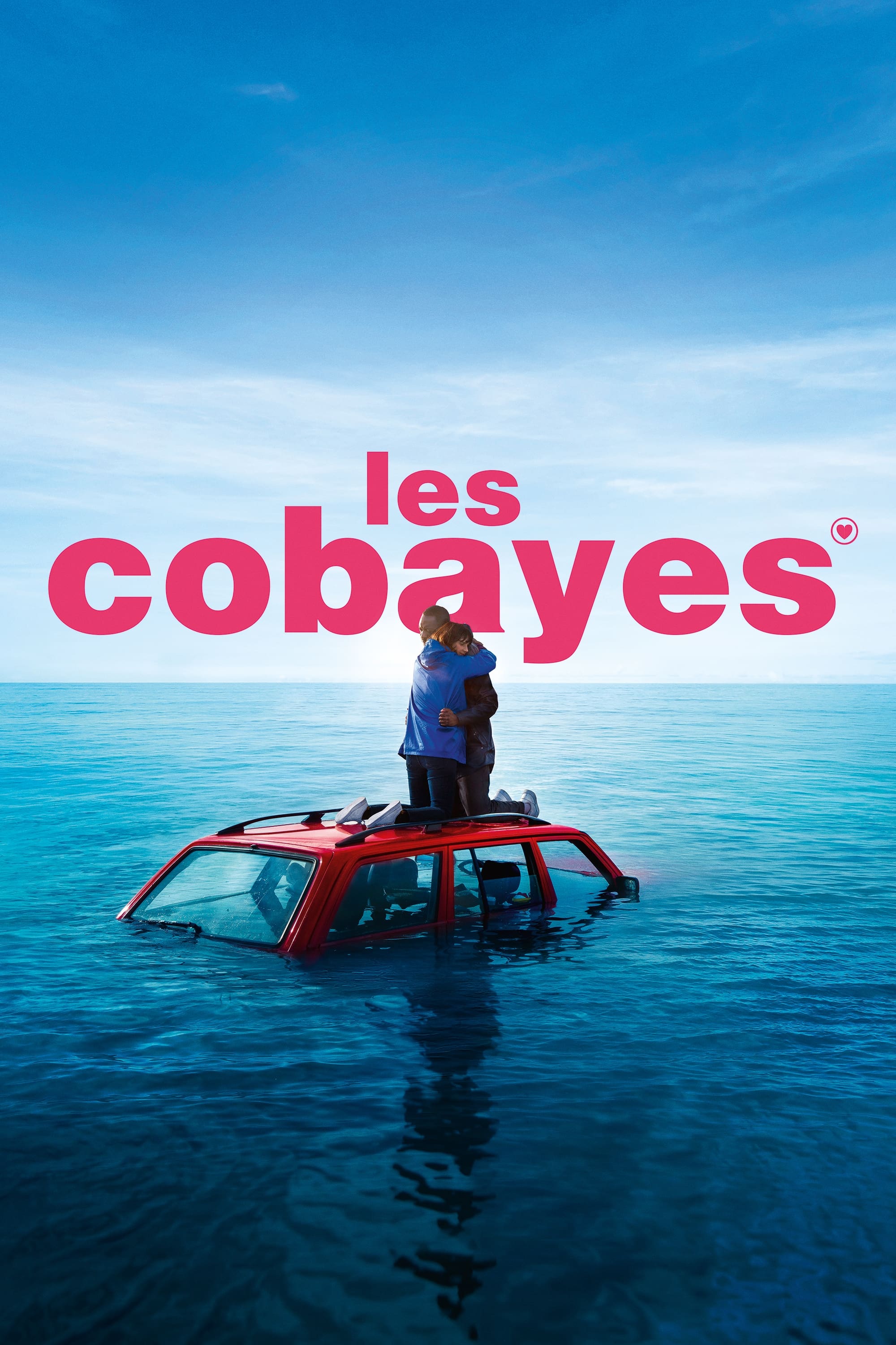 Les Cobayes | Les Cobayes