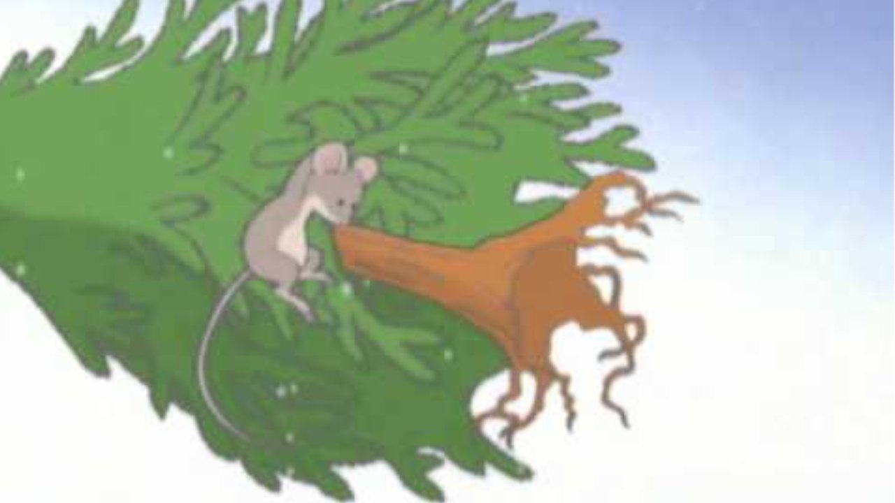 Kipper: Let it Snow!|Kipper: Let it Snow!
