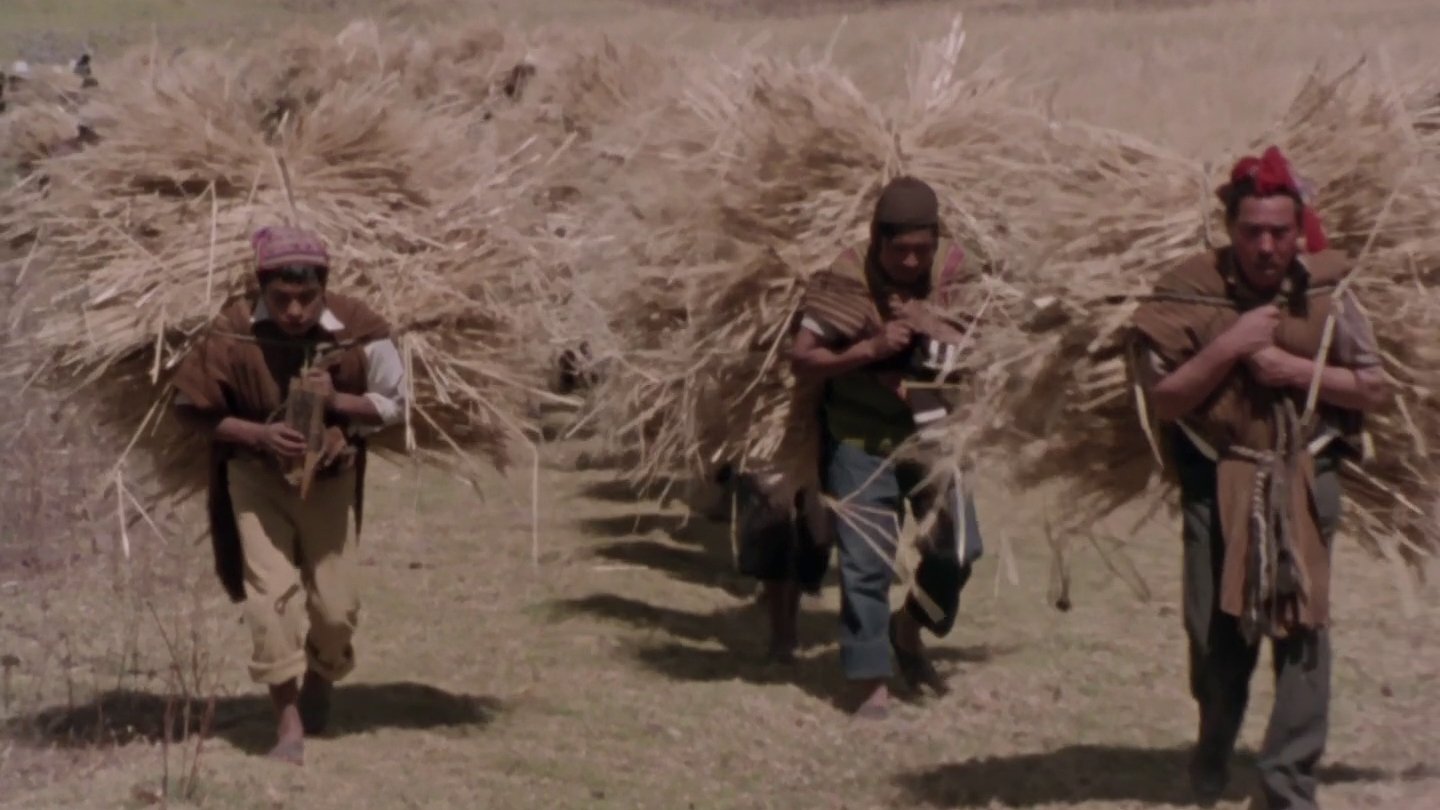 Mémoires d'une enfant des Andes|Mémoires d'une enfant des Andes