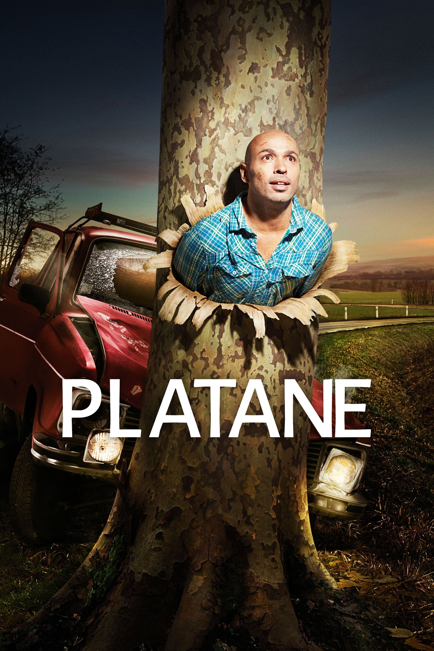 Platane | Platane