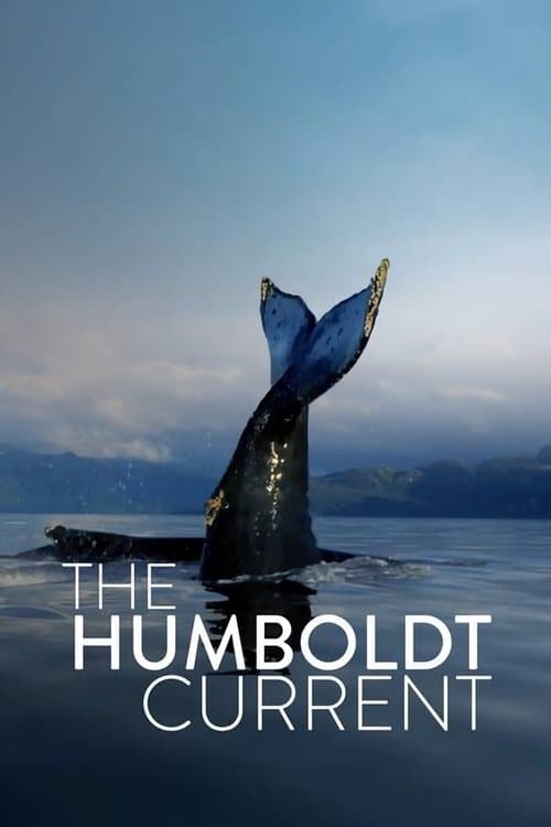 The Humboldt Current | The Humboldt Current