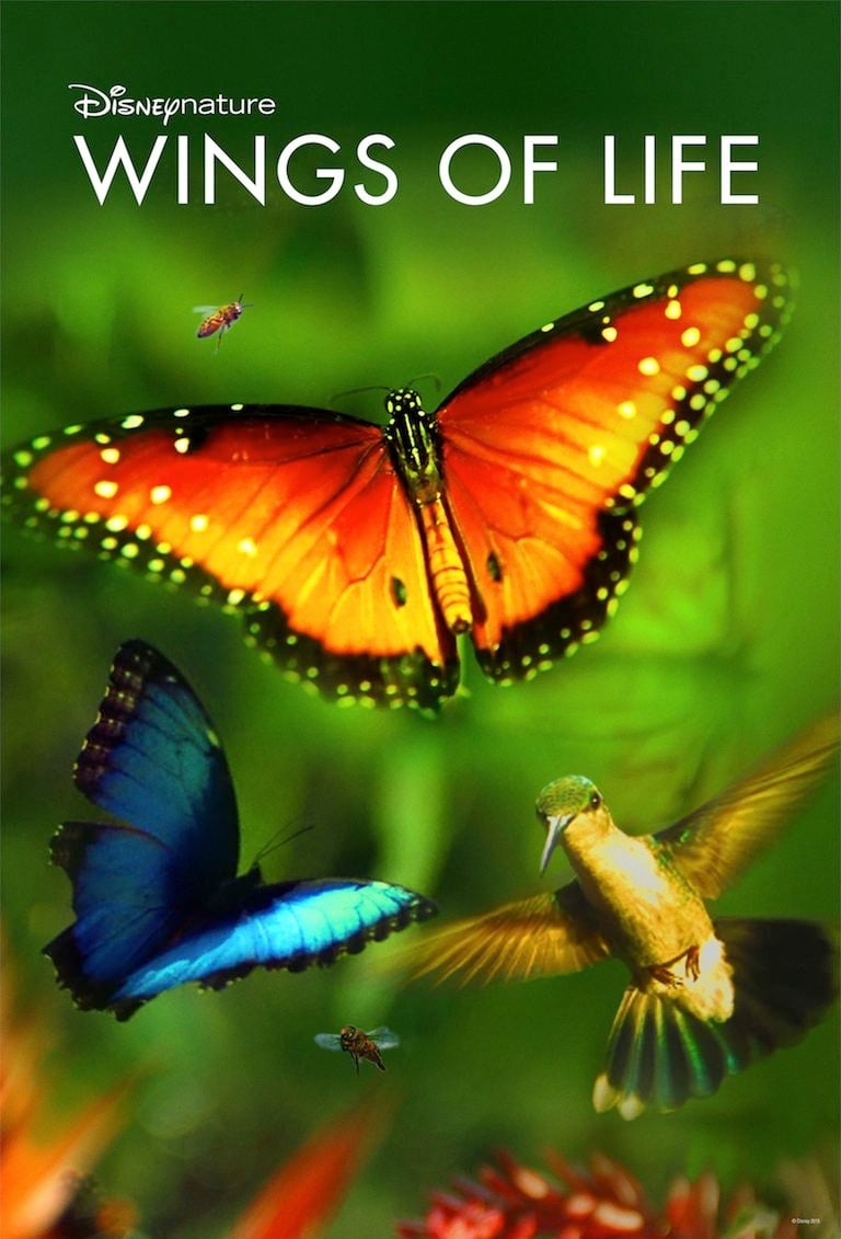 Wings of Life | Wings of Life