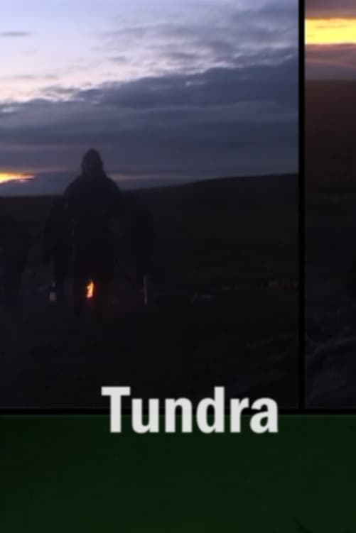 Tundra | Tundra