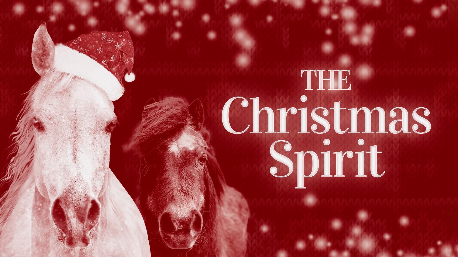 The Christmas Spirit|The Christmas Spirit