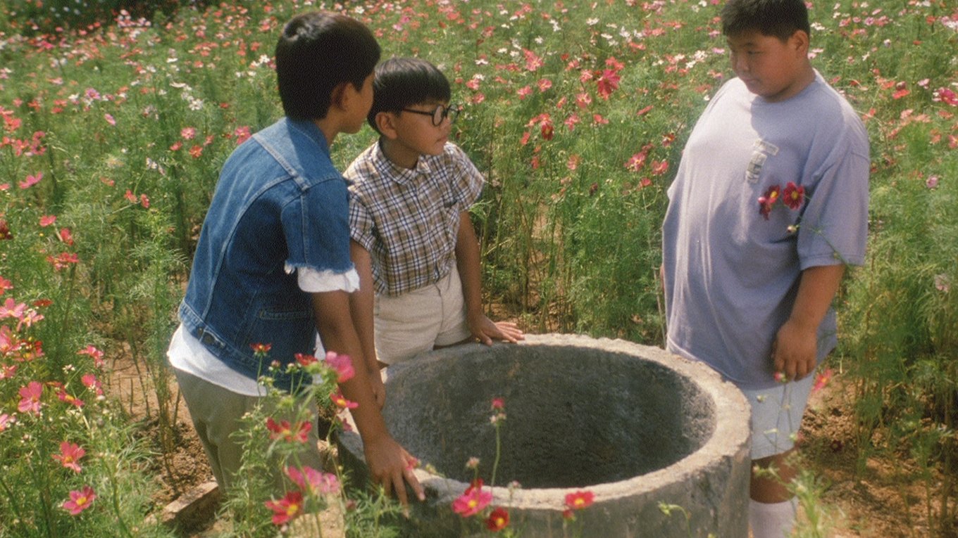 夏の庭|夏の庭