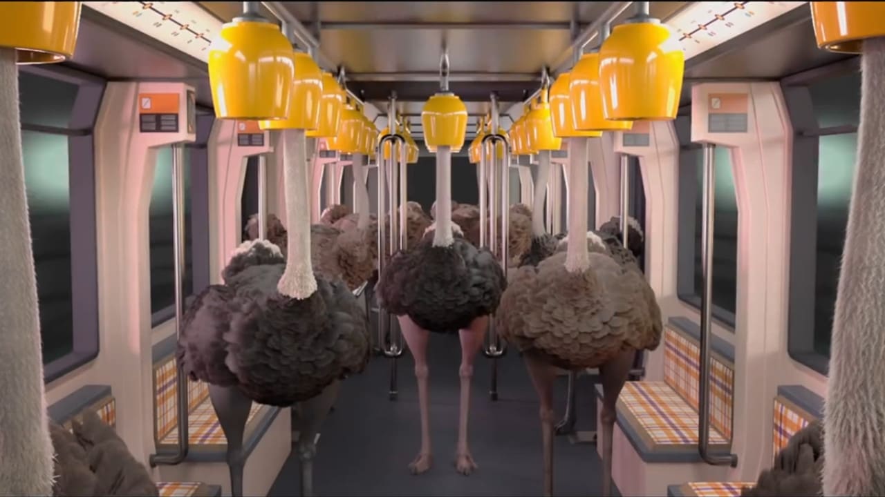 Ostrich Politic|Ostrich Politic