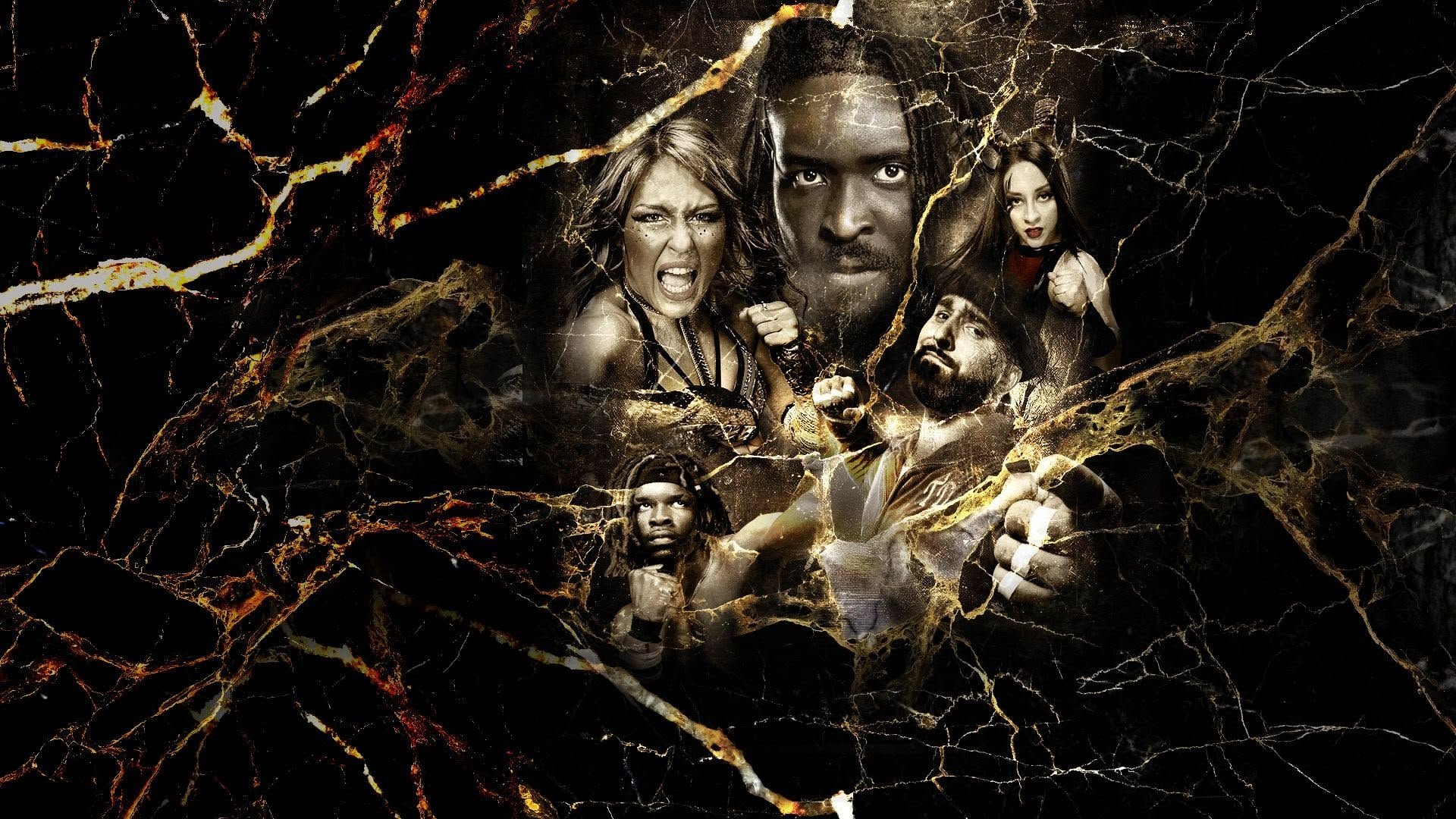 NXT Vengeance Day 2025|NXT Vengeance Day 2025