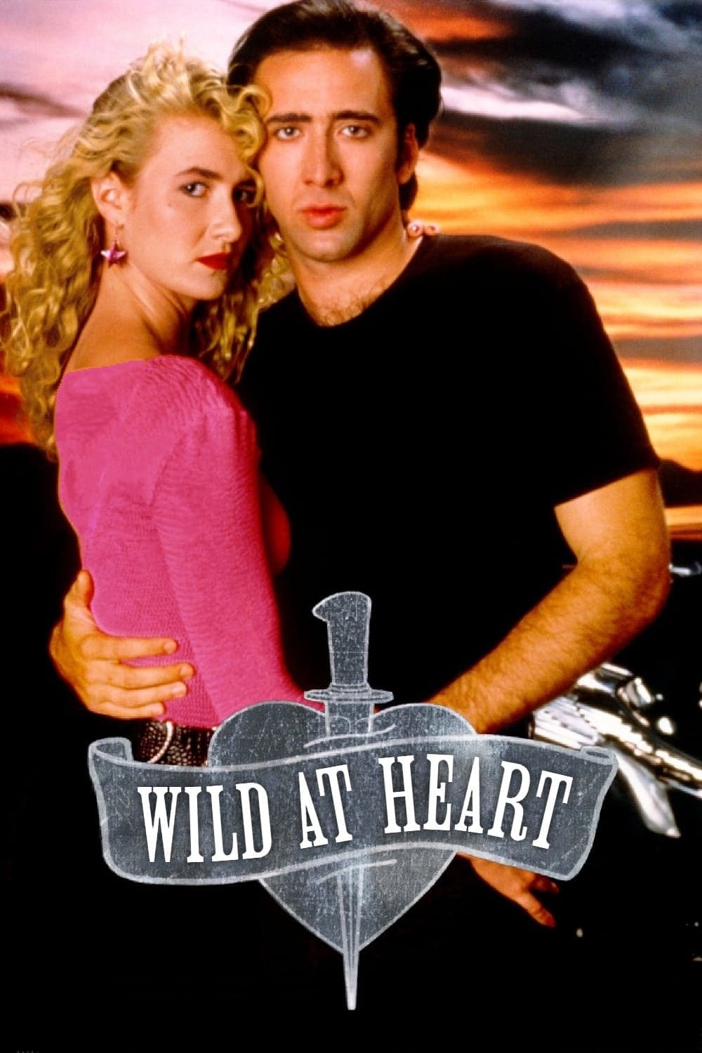 قلب وحشی | Wild at Heart