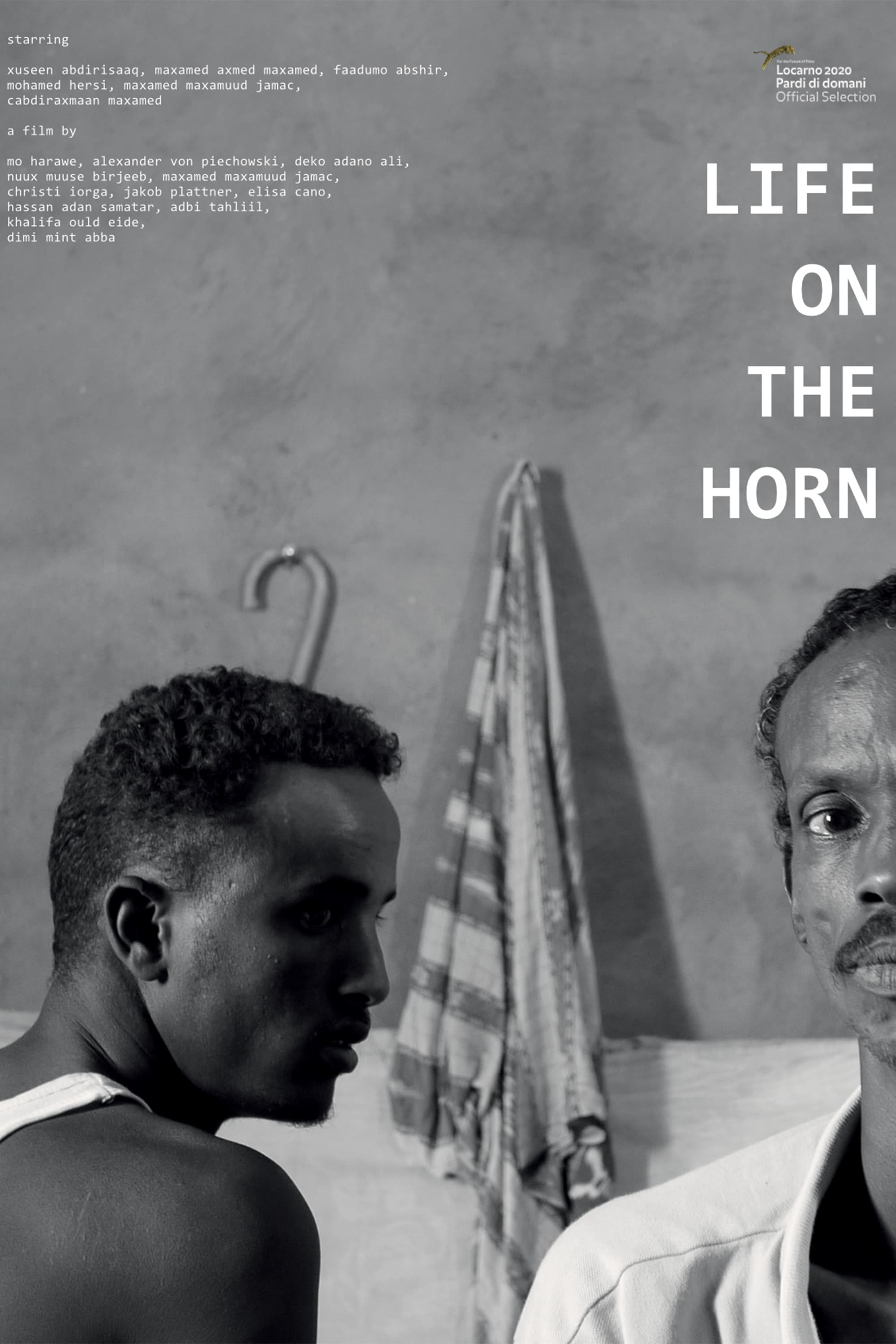 Life on the Horn | Life on the Horn