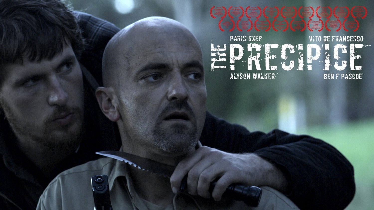 The Precipice|The Precipice