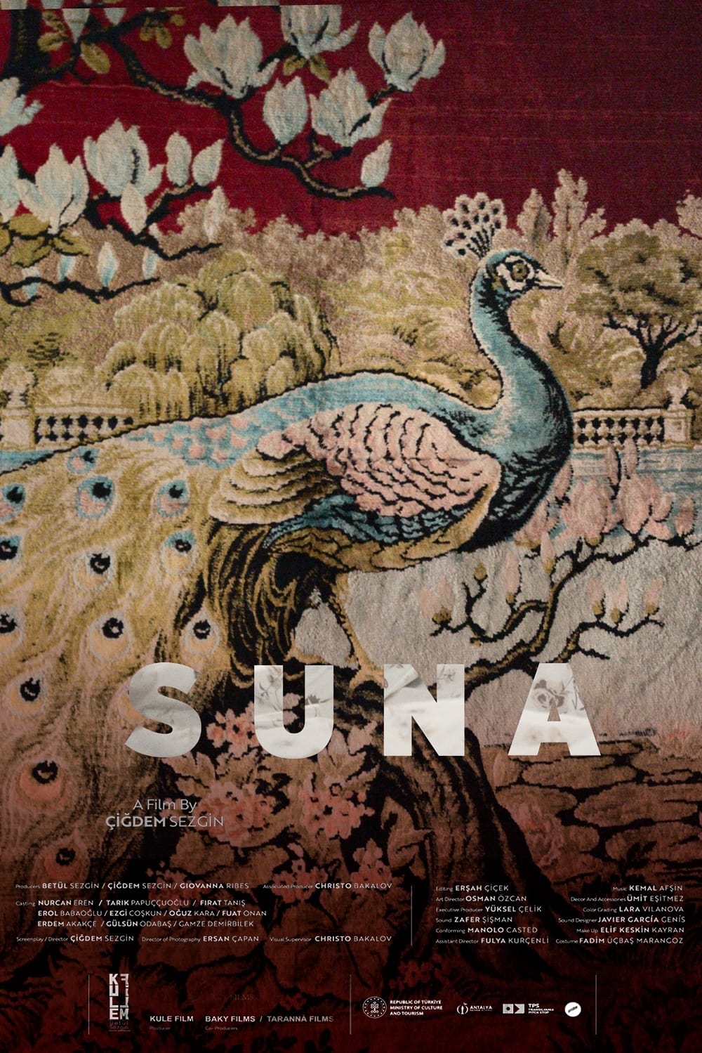 Suna | Suna