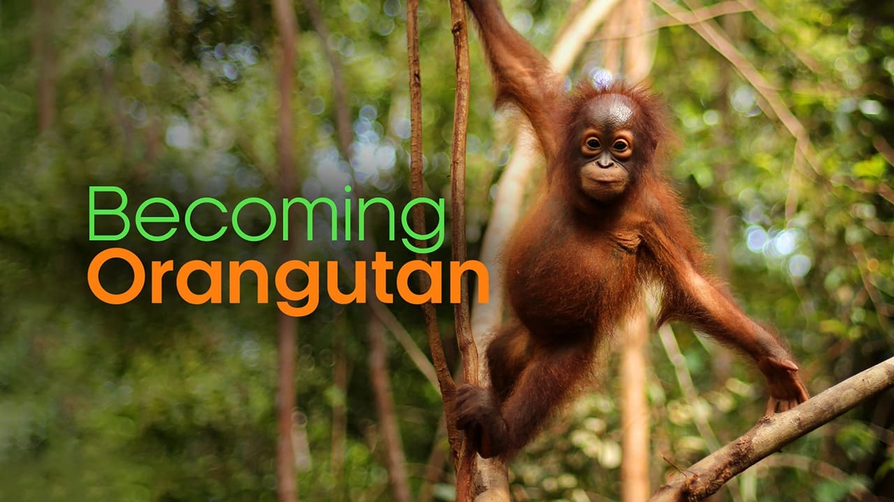 Becoming Orangutan|Becoming Orangutan