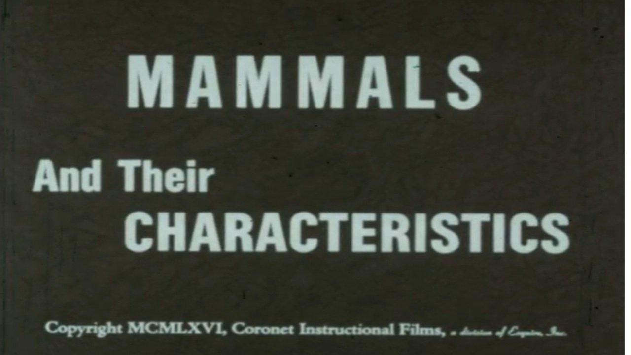 Mammals and Their Characteristics|Mammals and Their Characteristics