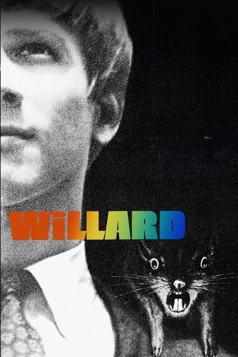 Willard | Willard