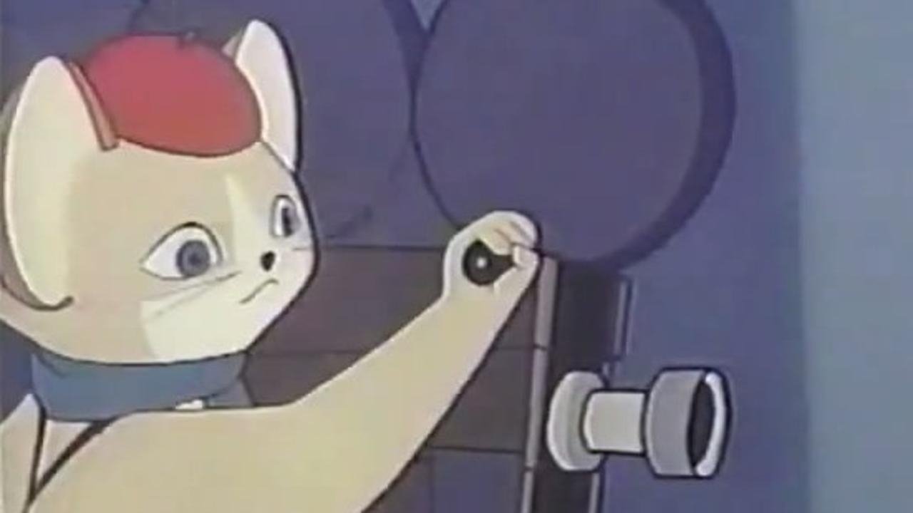こねこのスタジオ|こねこのスタジオ