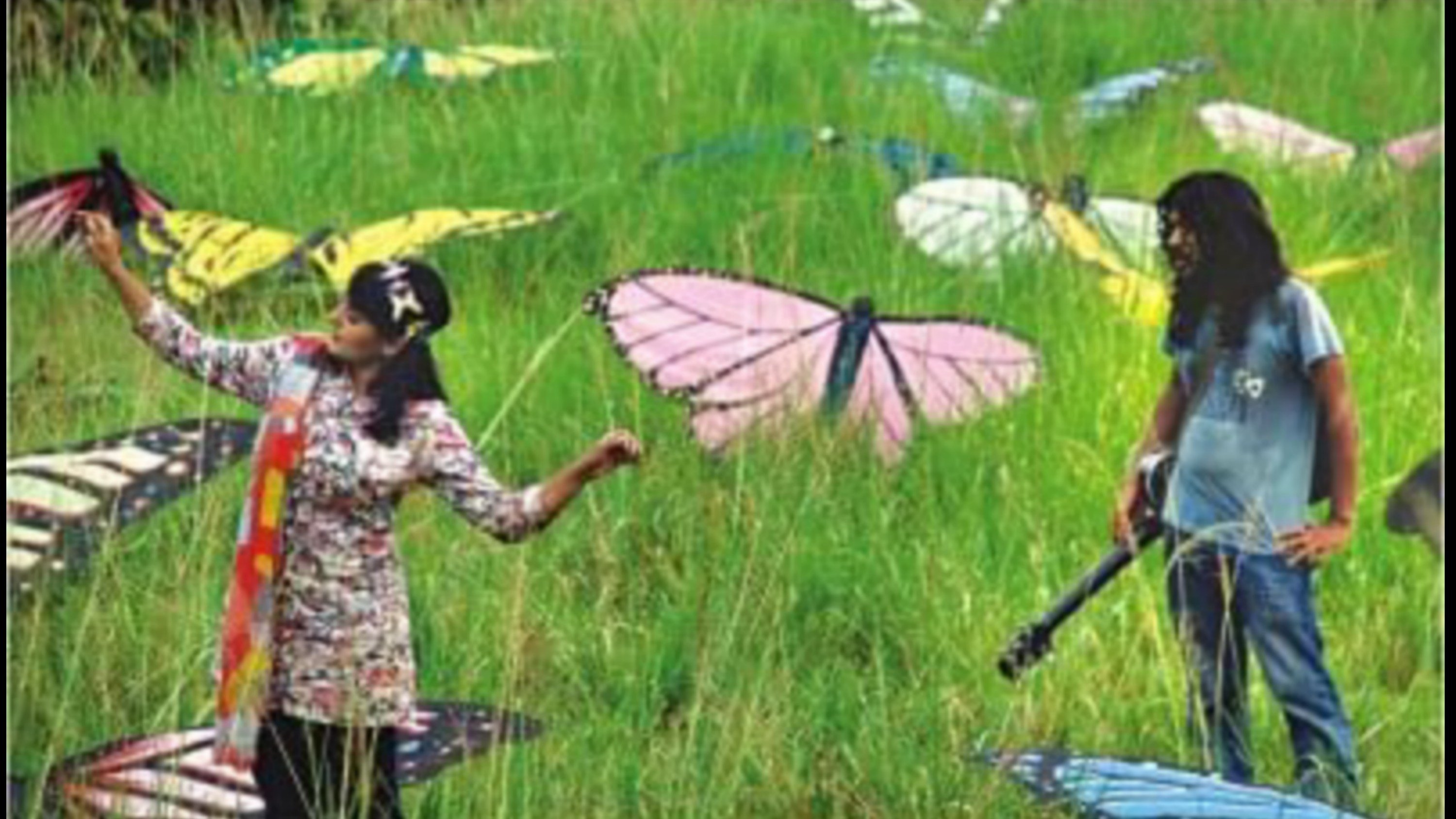 যে জীবন ফড়িং এর|যে জীবন ফড়িং এর