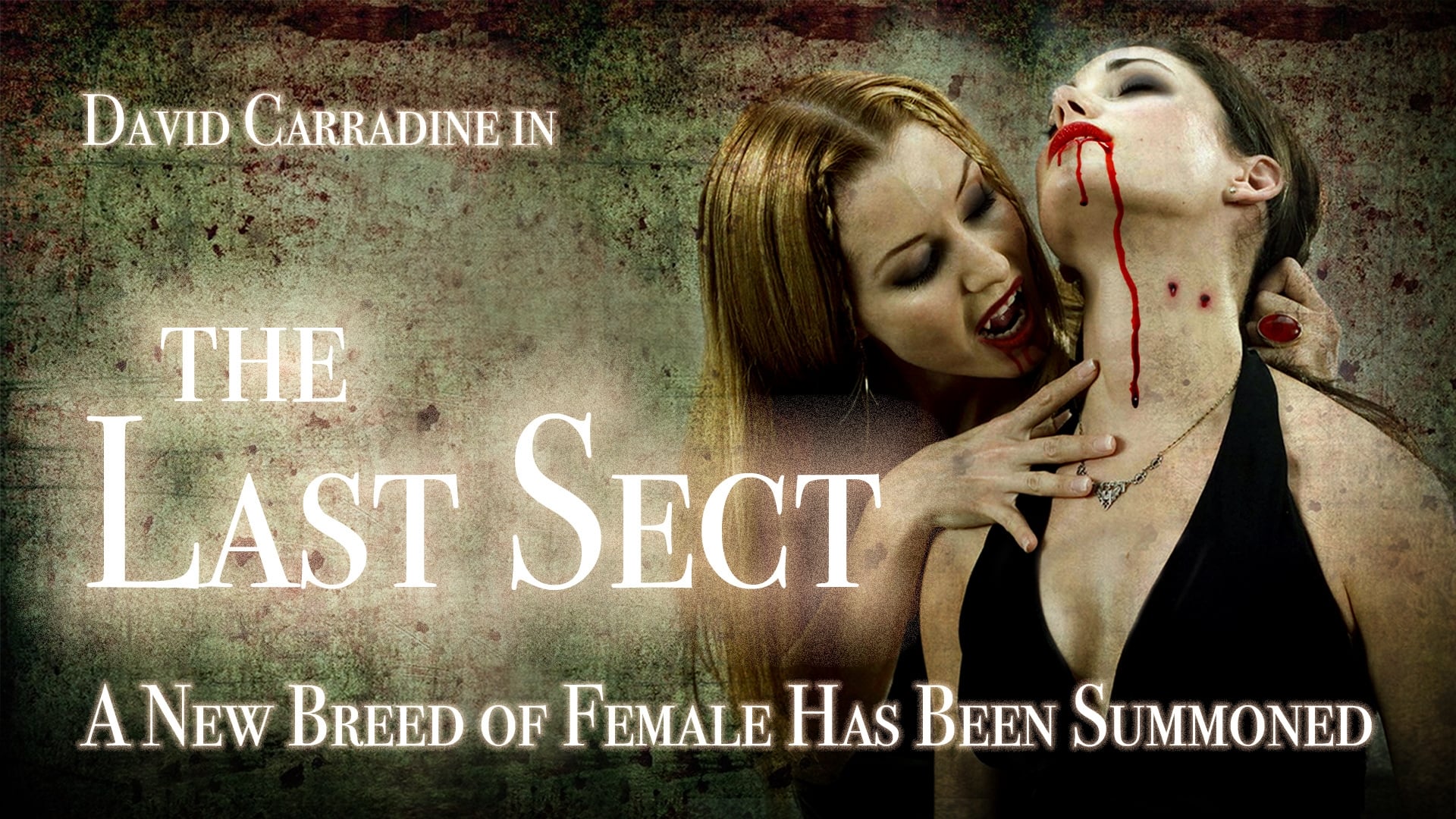 The Last Sect|The Last Sect