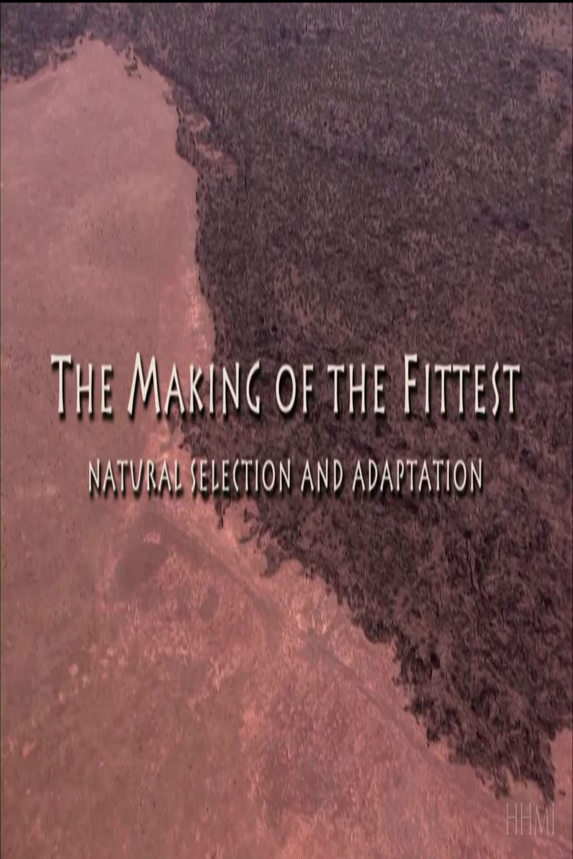 The Making of the Fittest: Natural Selection and Adaptation | The Making of the Fittest: Natural Selection and Adaptation