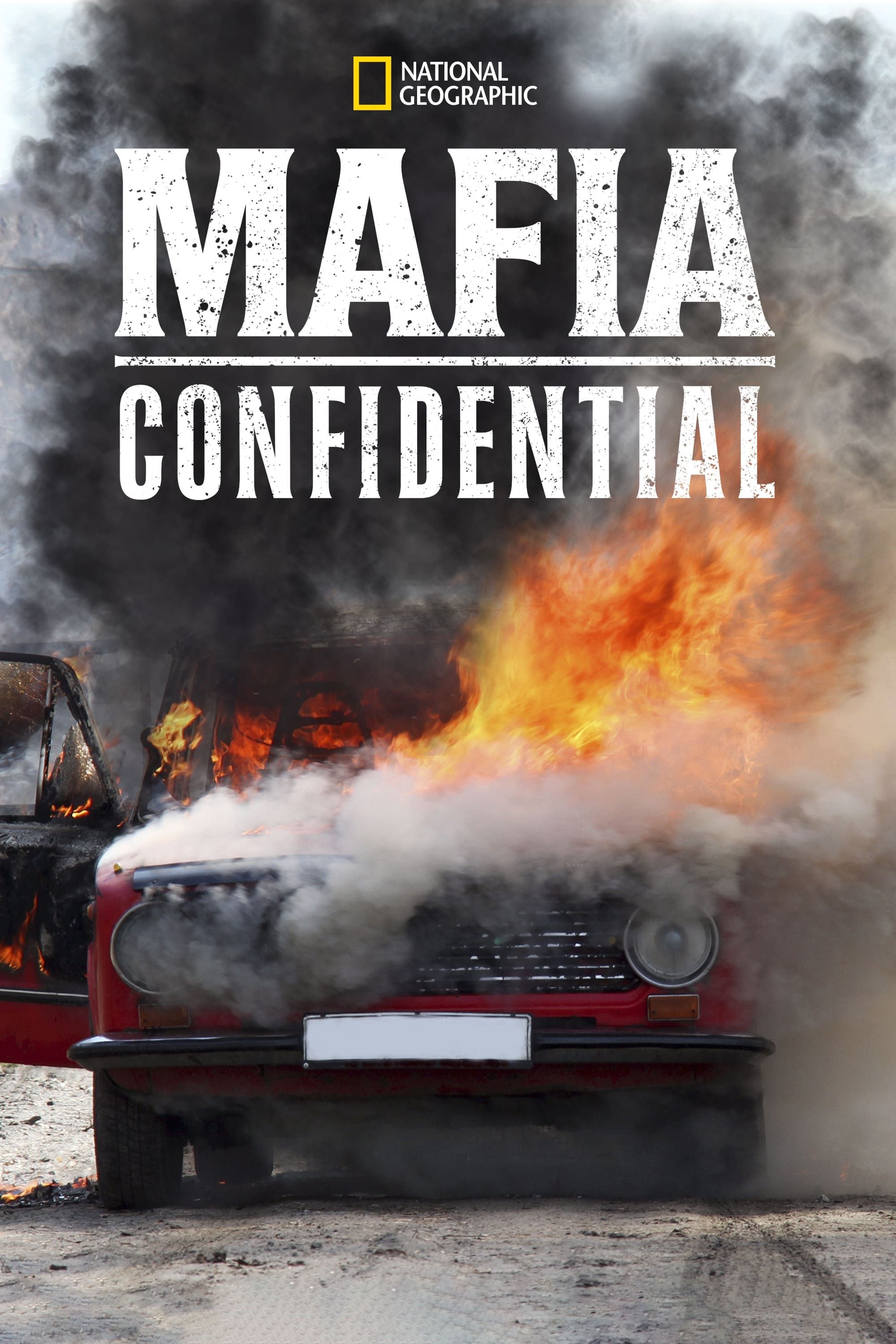 Mafia Confidential | Mafia Confidential