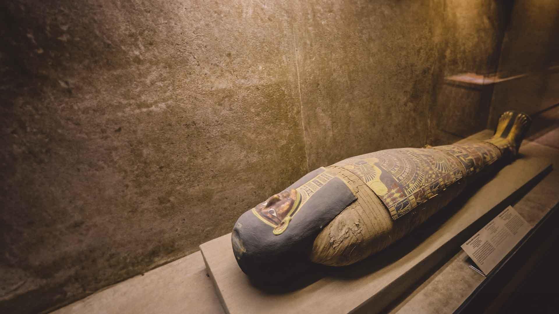 Imhotep, le Secret des Tombes Pharaoniques|Imhotep, le Secret des Tombes Pharaoniques