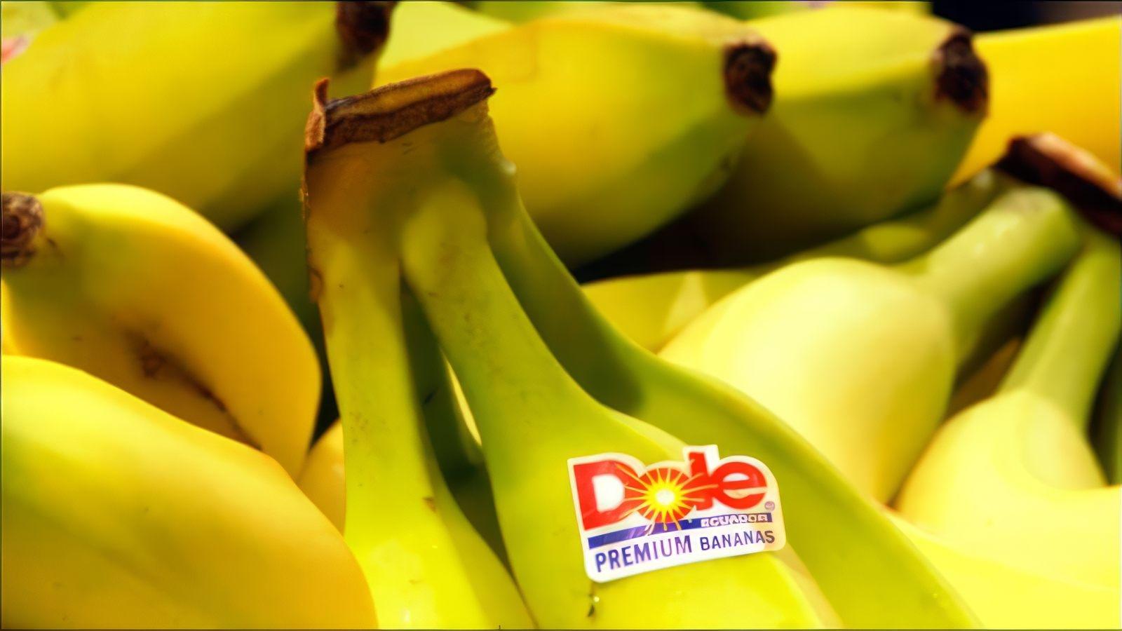 Big Boys Gone Bananas!*|Big Boys Gone Bananas!*