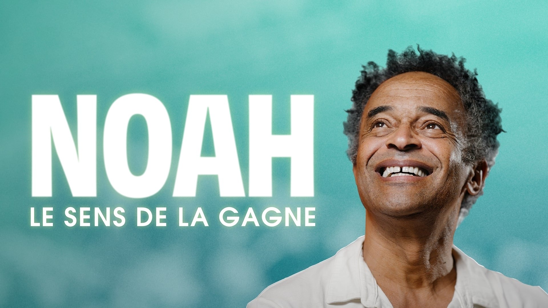 Noah : le sens de la gagne|Noah : le sens de la gagne