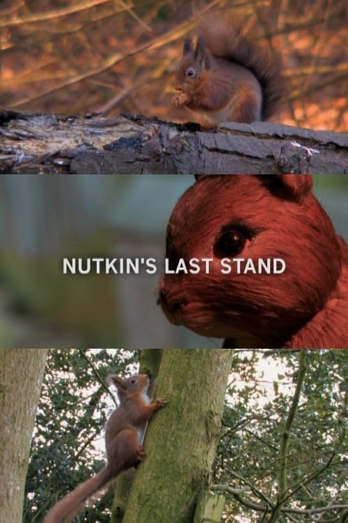 Nutkin's Last Stand | Nutkin's Last Stand