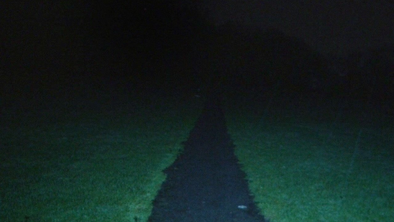LEASH|LEASH