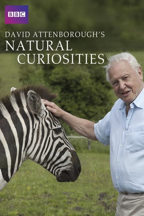 David Attenborough's Natural Curiosities | David Attenborough's Natural Curiosities