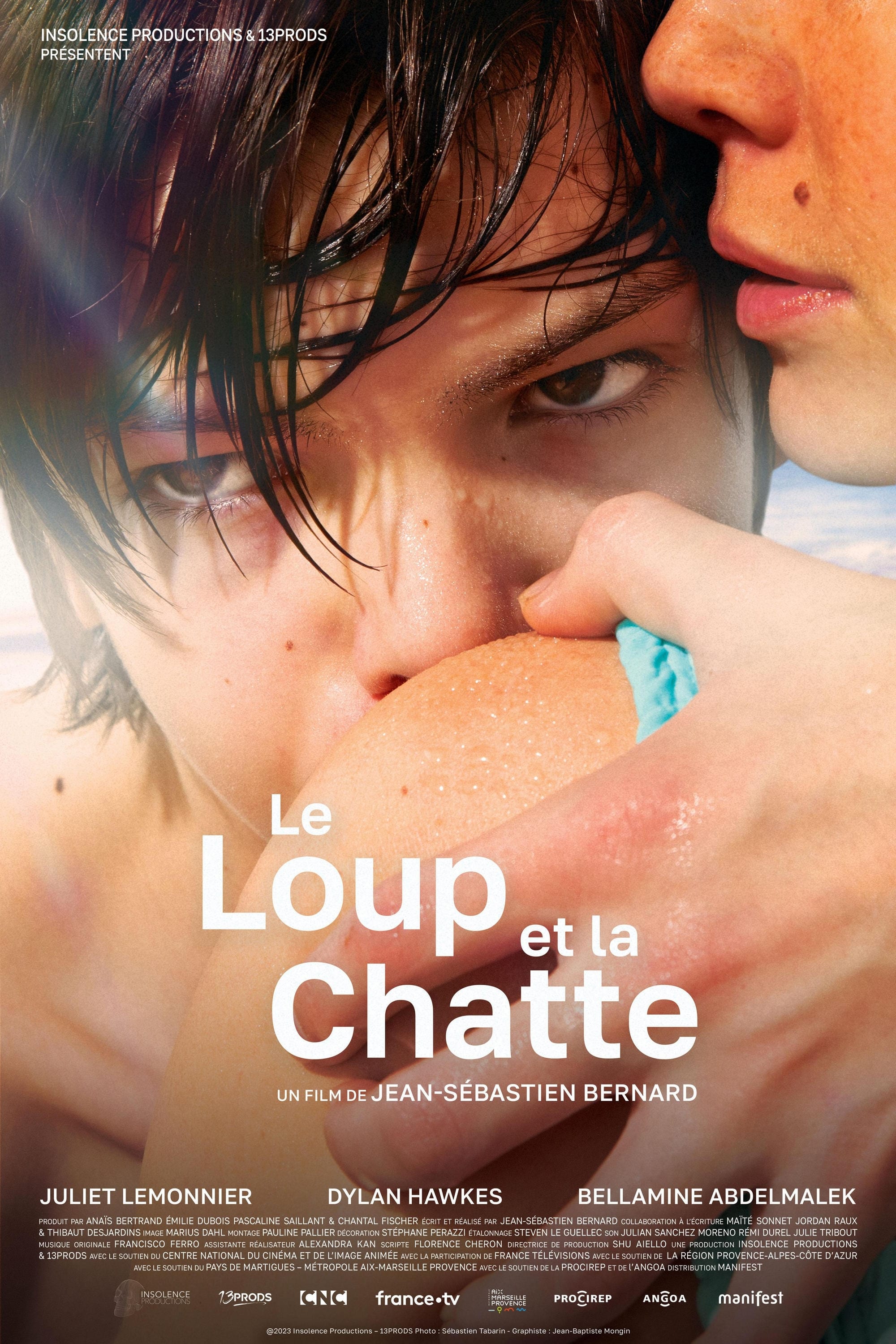 Le loup et la chatte | Le loup et la chatte