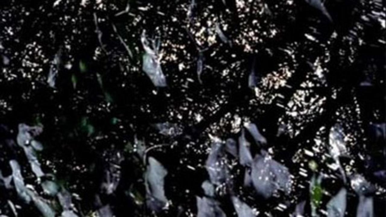 Elements of Nothing|Elements of Nothing