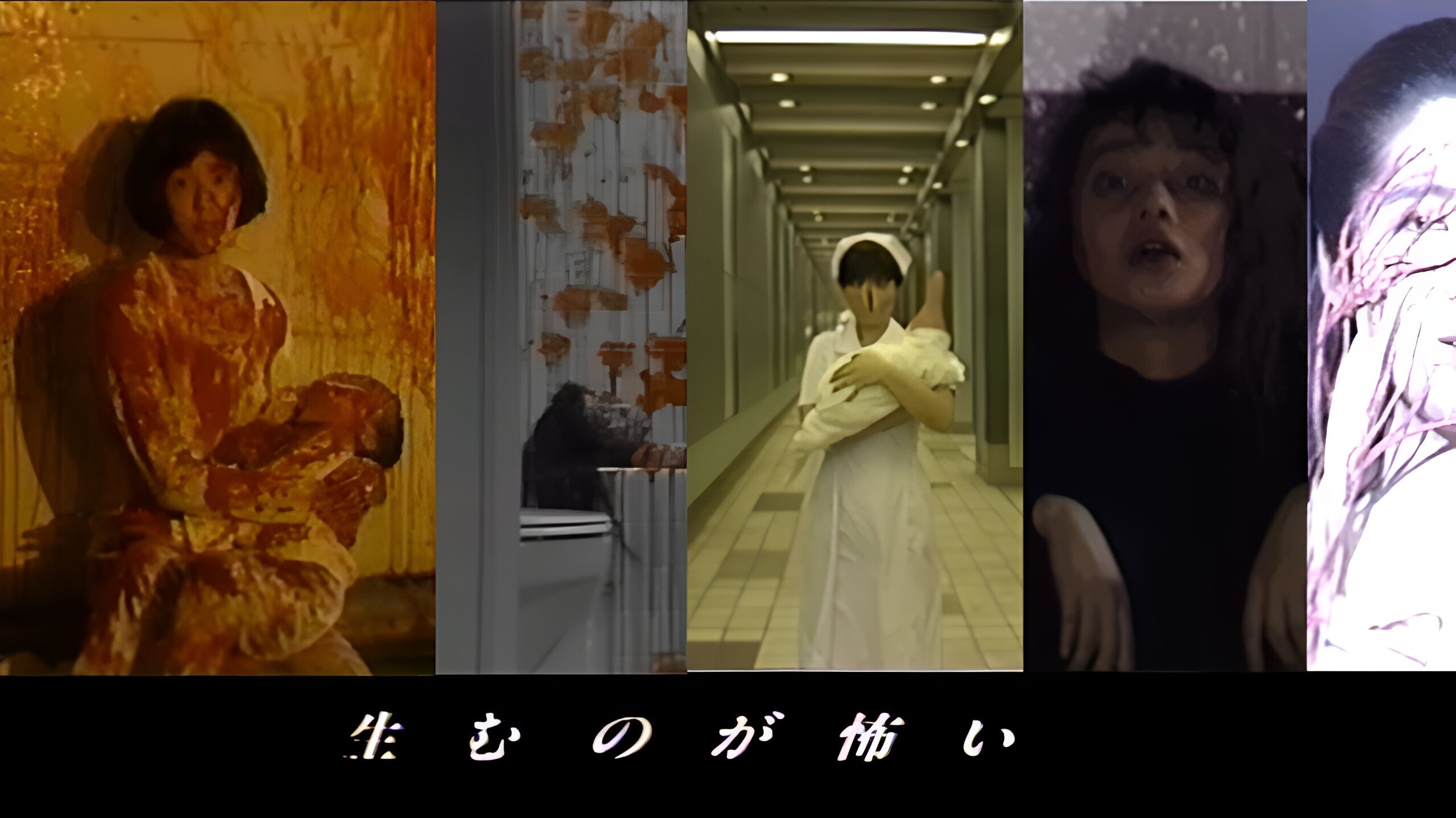 生むのが怖い|生むのが怖い