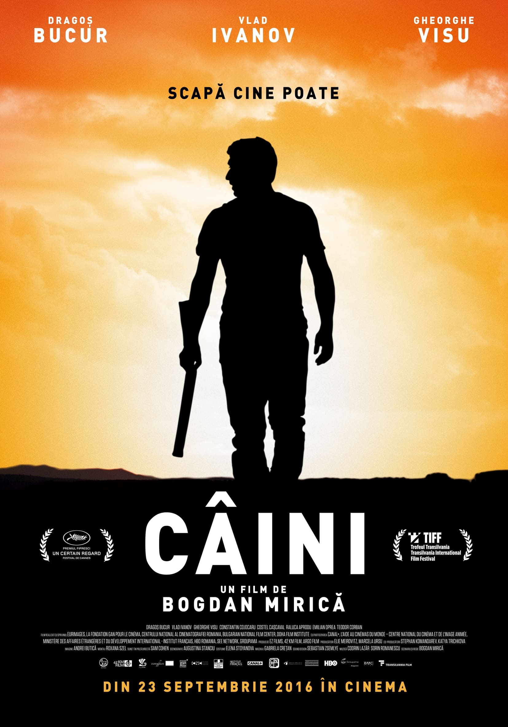 Câini | Câini