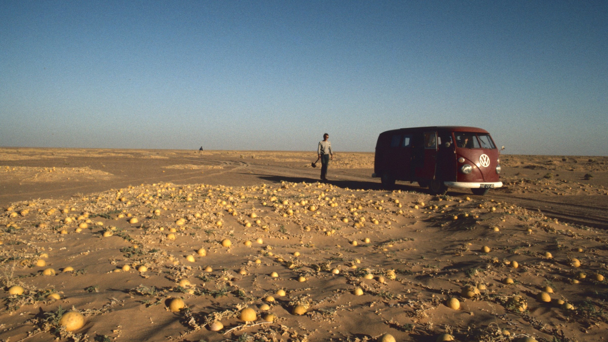 Hitchhiking to the Edge of Sanity|Hitchhiking to the Edge of Sanity