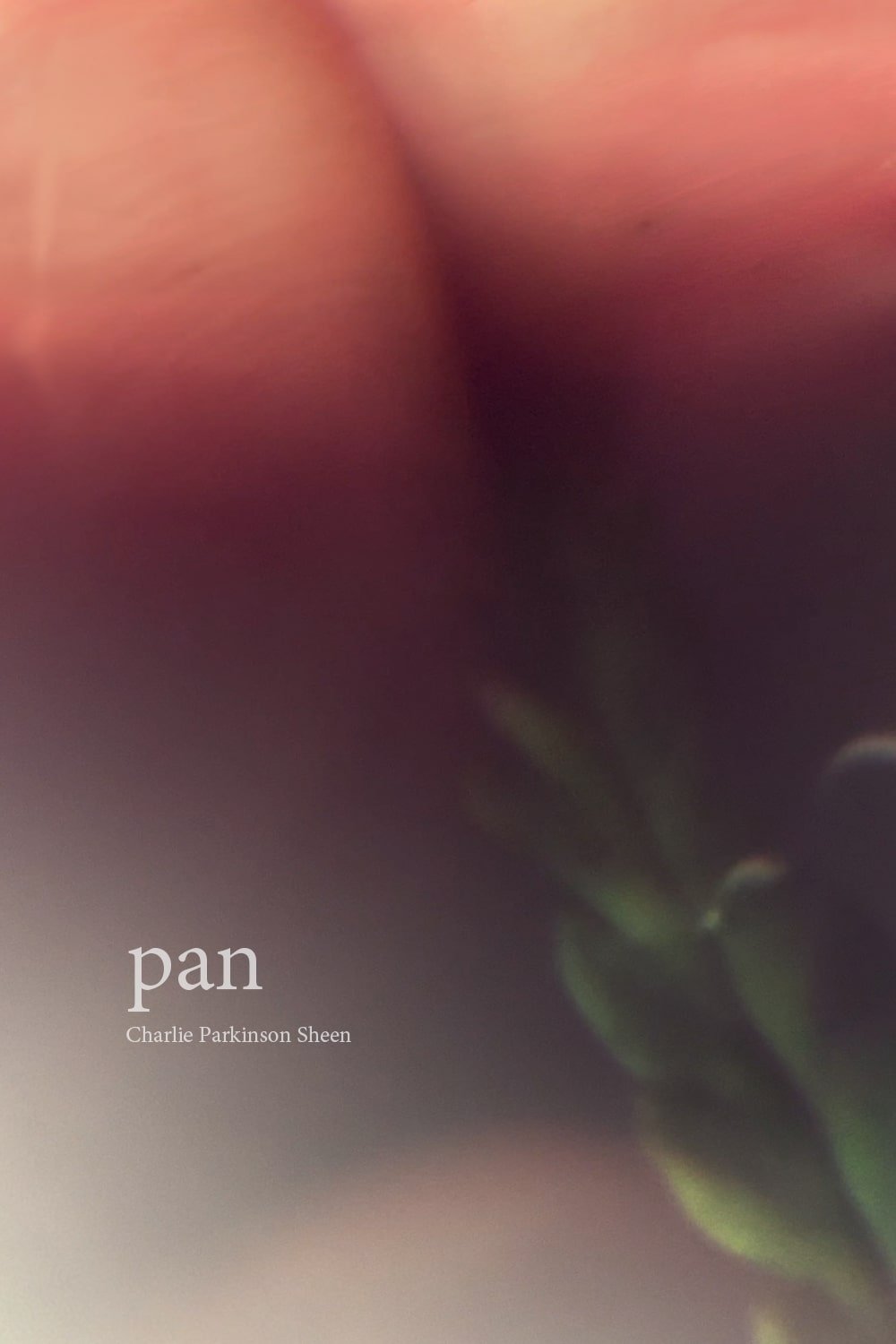 Pan