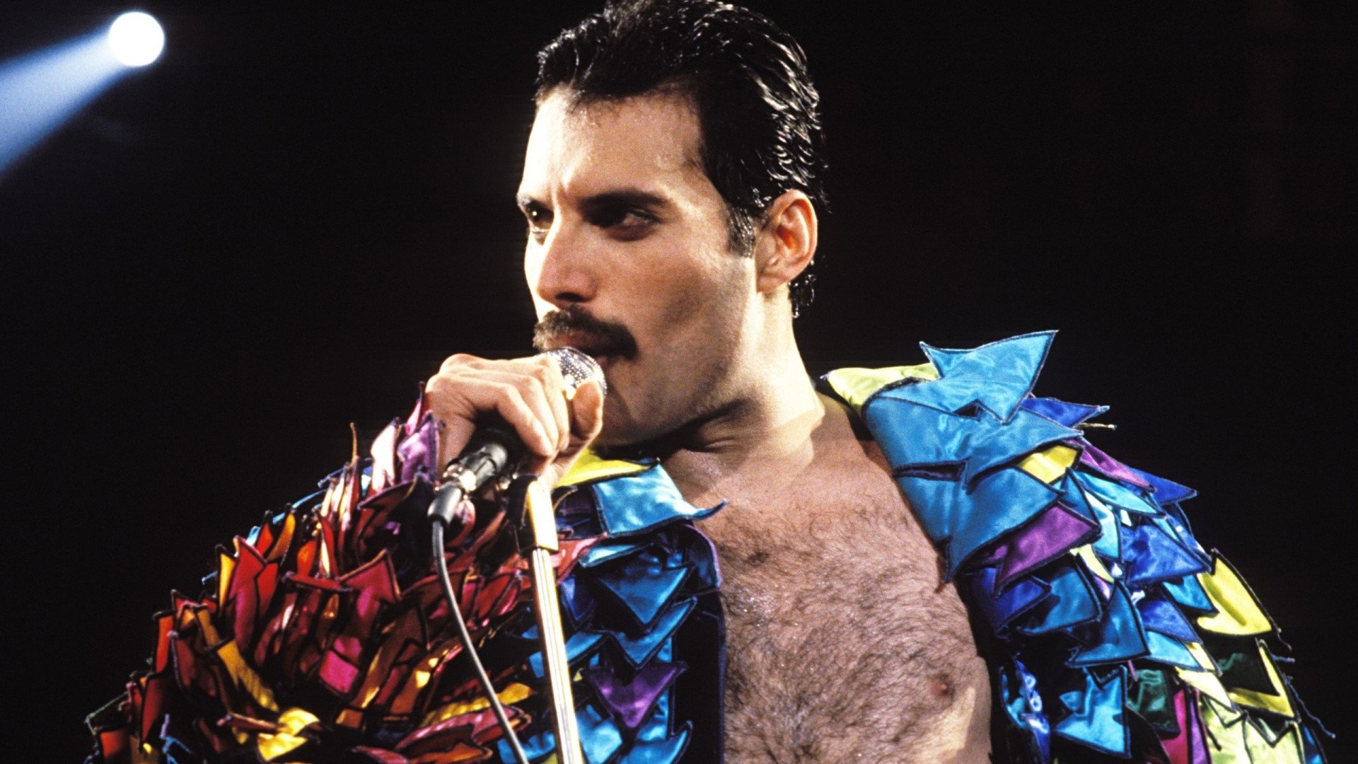 La story de  Freddie Mercury|La story de  Freddie Mercury