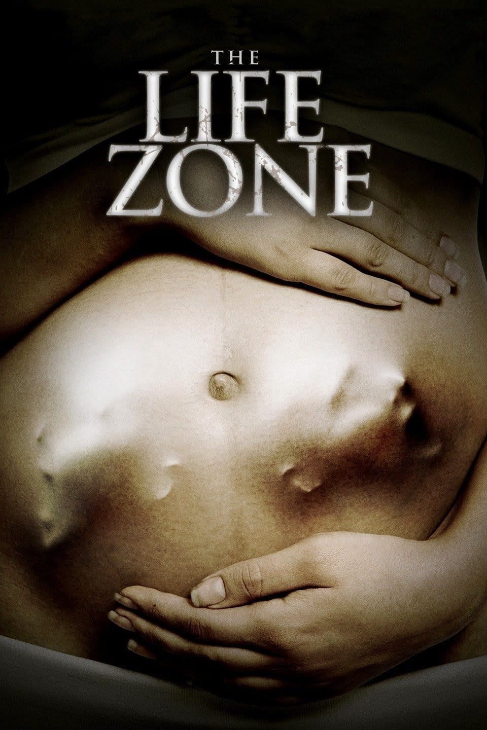 The Life Zone | The Life Zone