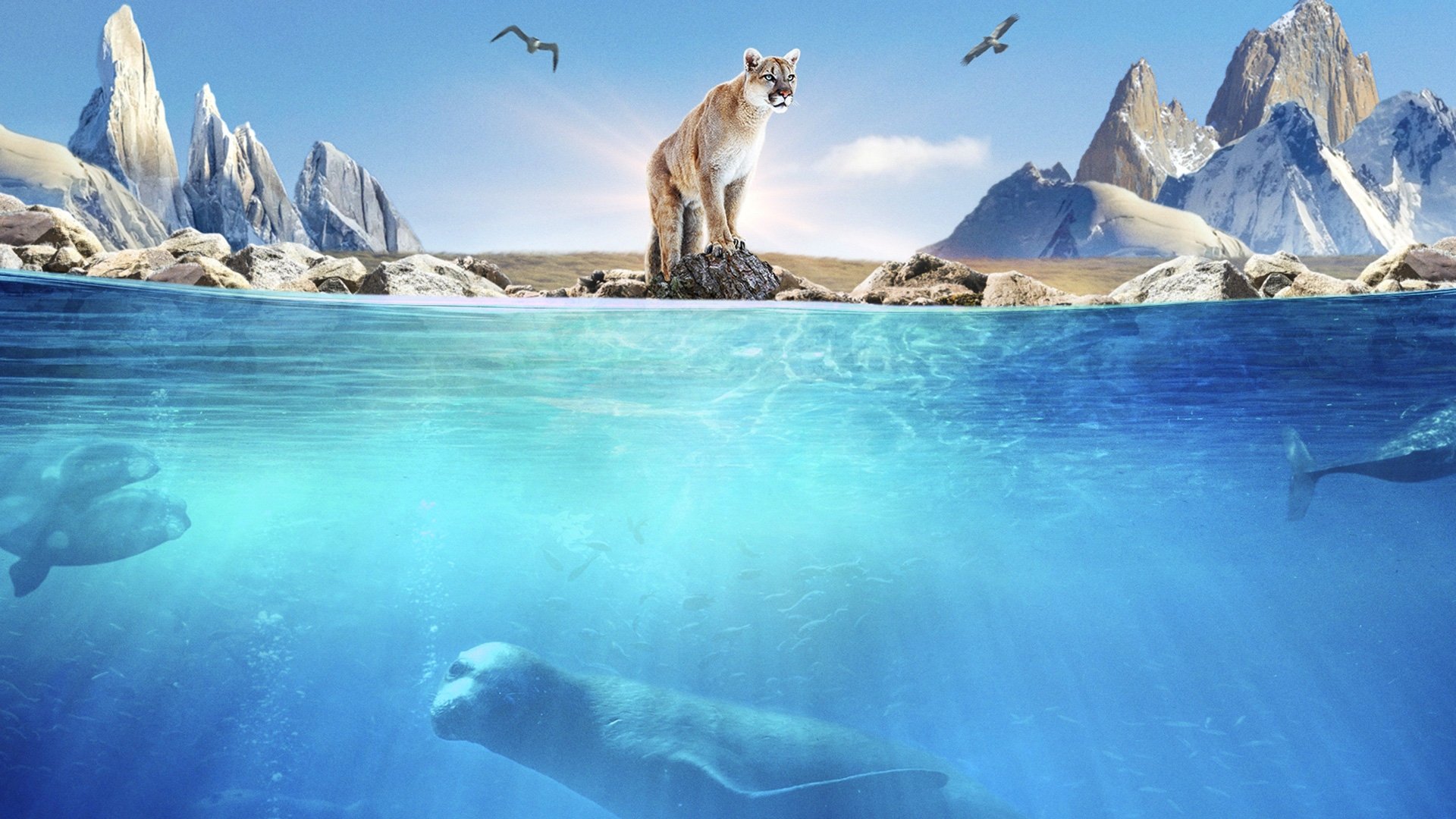 Patagonia: Life on the Edge of the World|Patagonia: Life on the Edge of the World