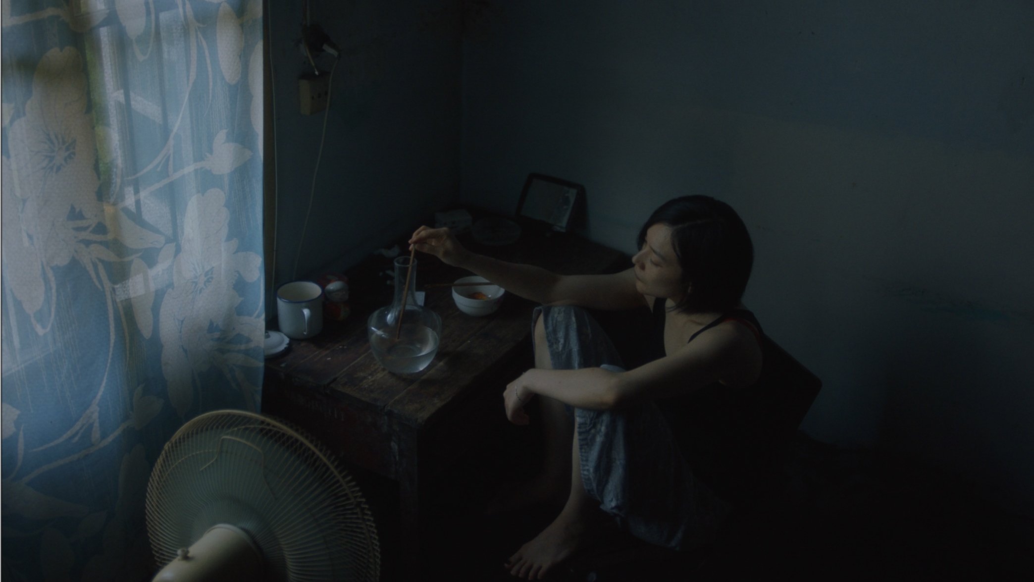水母|水母