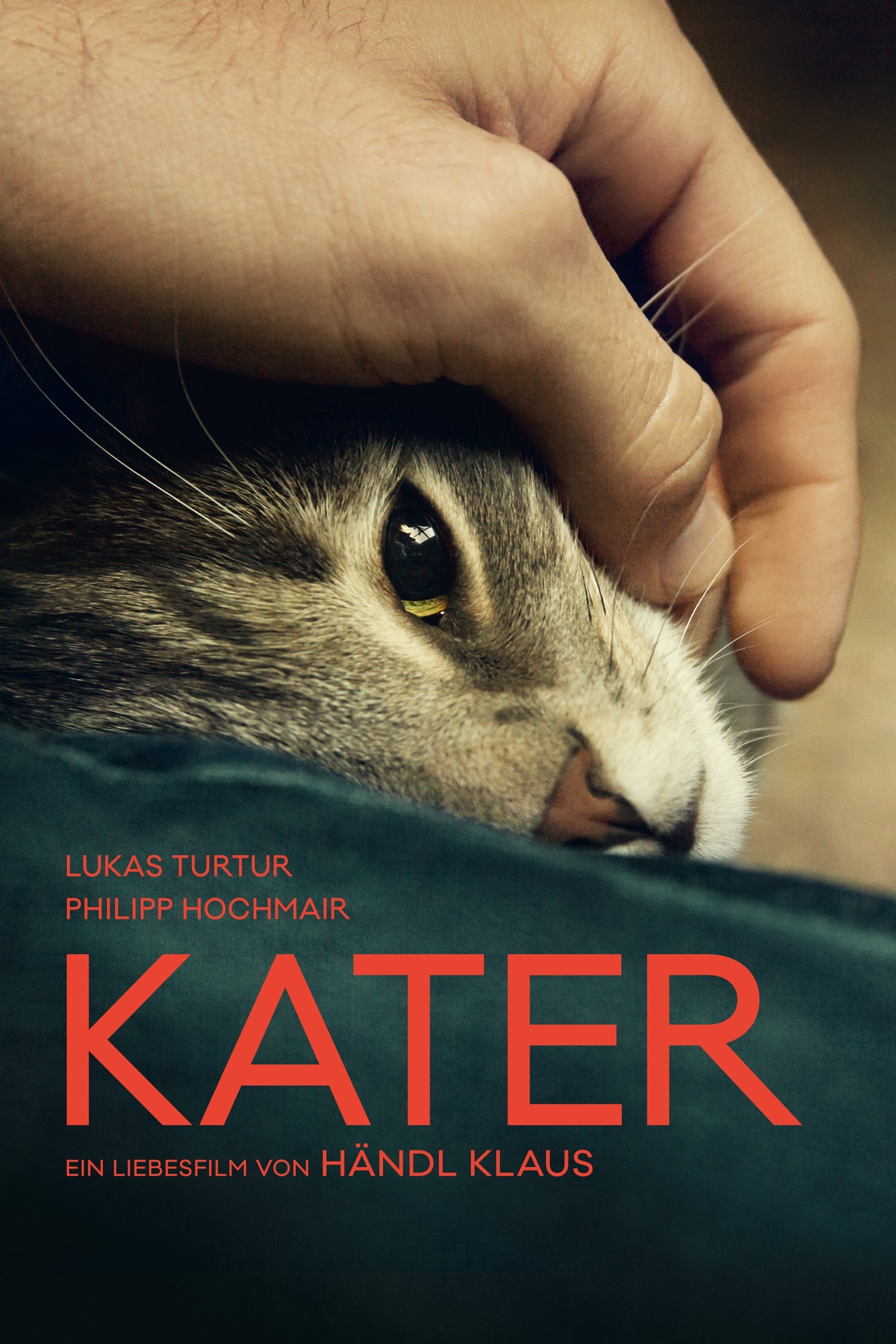 Kater | Kater