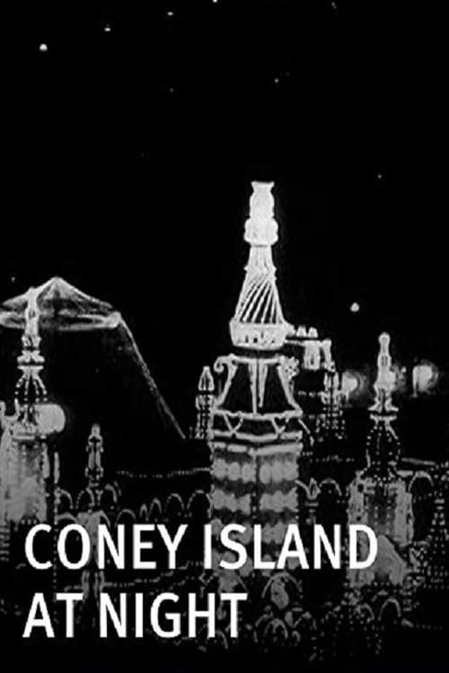 Coney Island at Night | Coney Island at Night