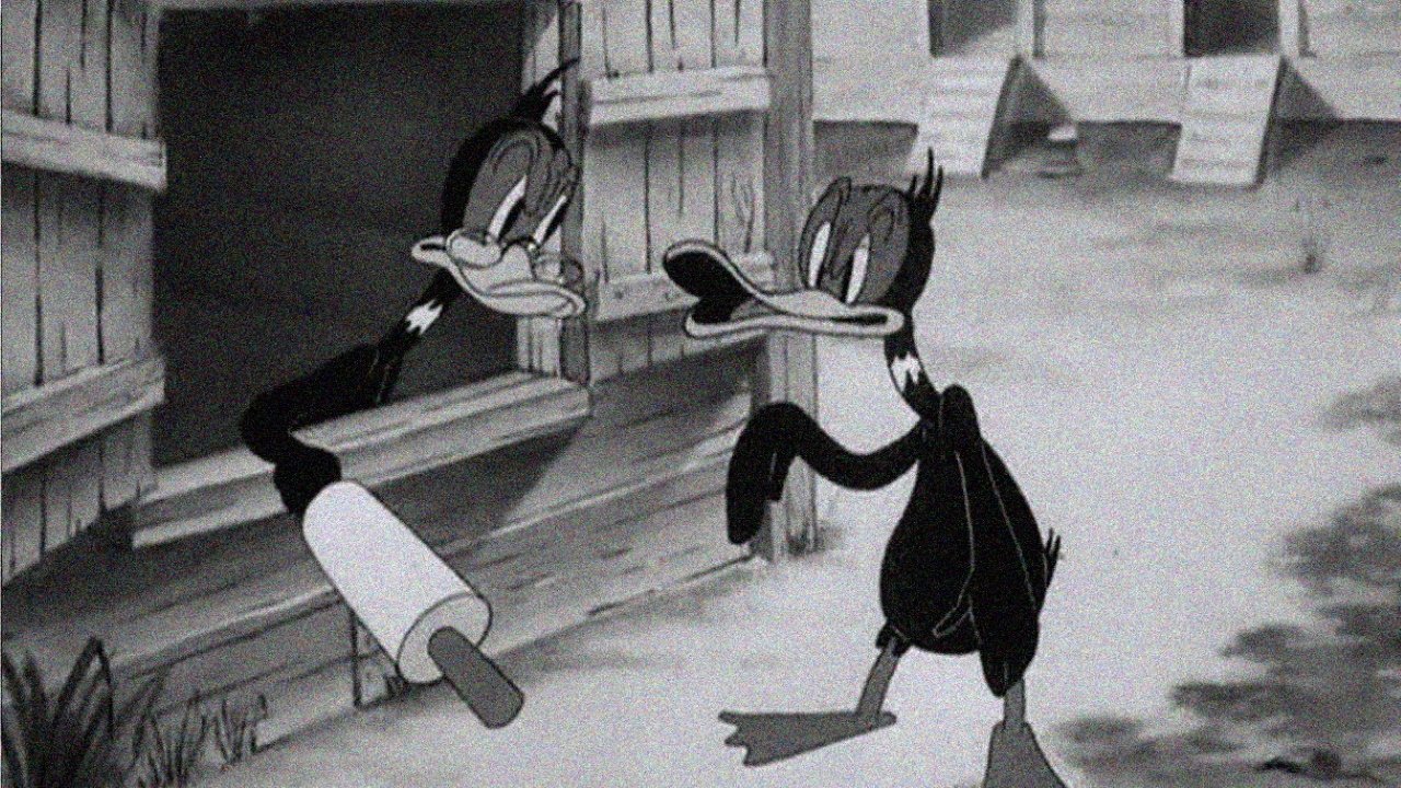 Wise Quacks|Wise Quacks