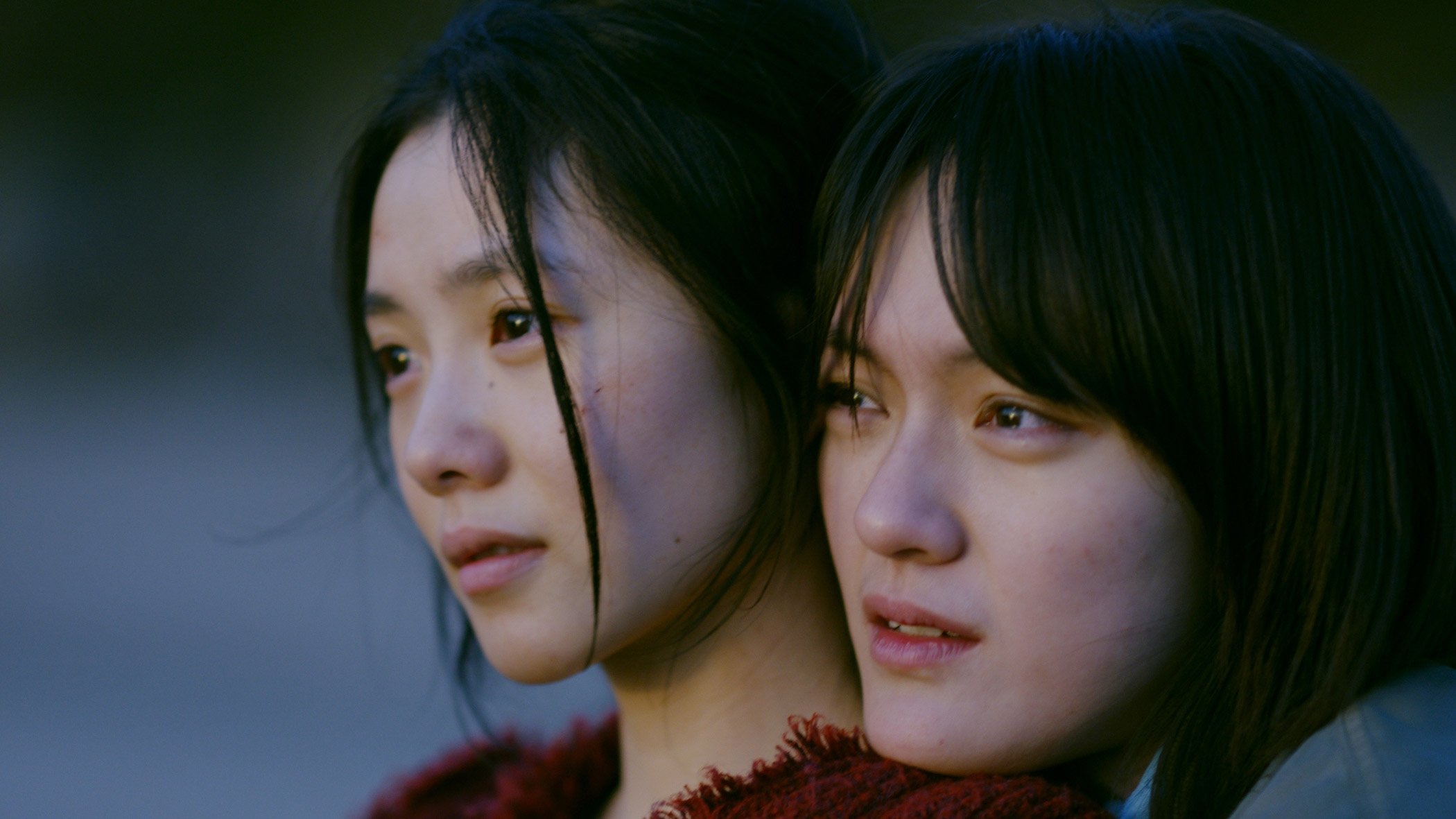想飞的女孩|想飞的女孩