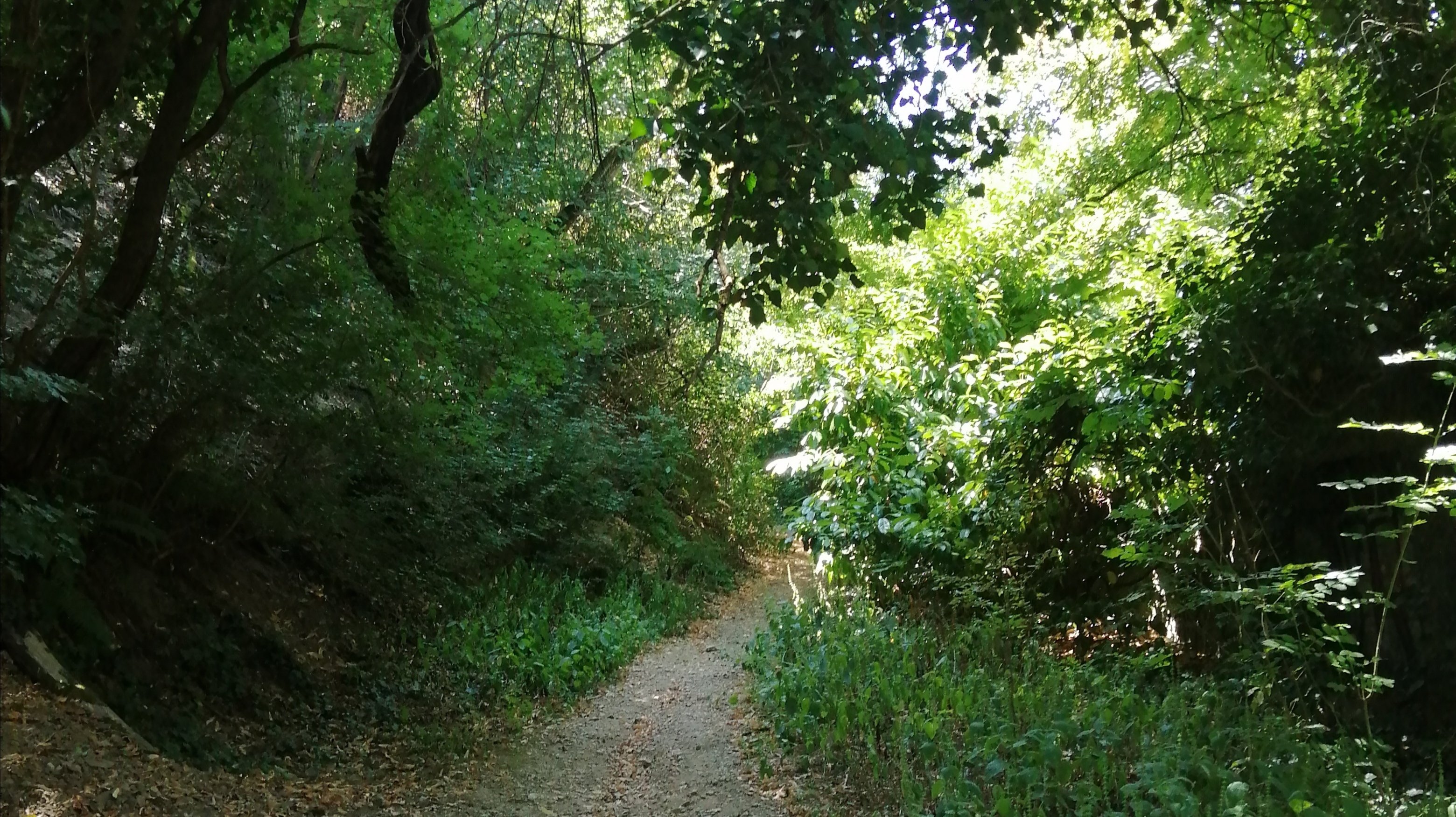 تصویر 2