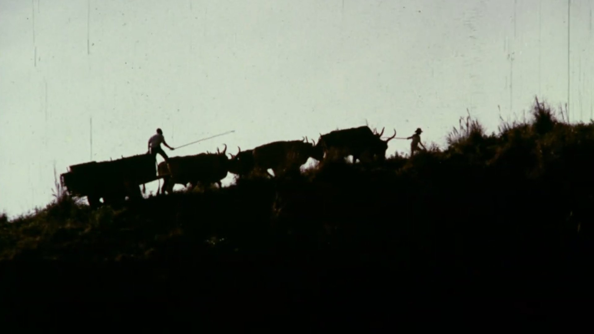 Carro de Bois|Carro de Bois